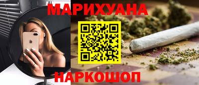 шишки Коммунар