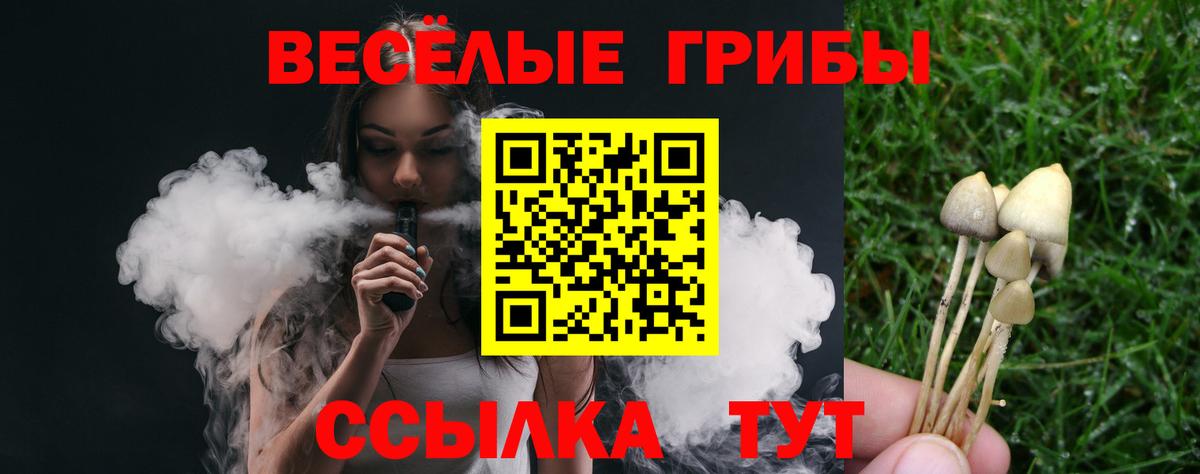 Псилоцибиновые грибы Psilocybe Изобильный