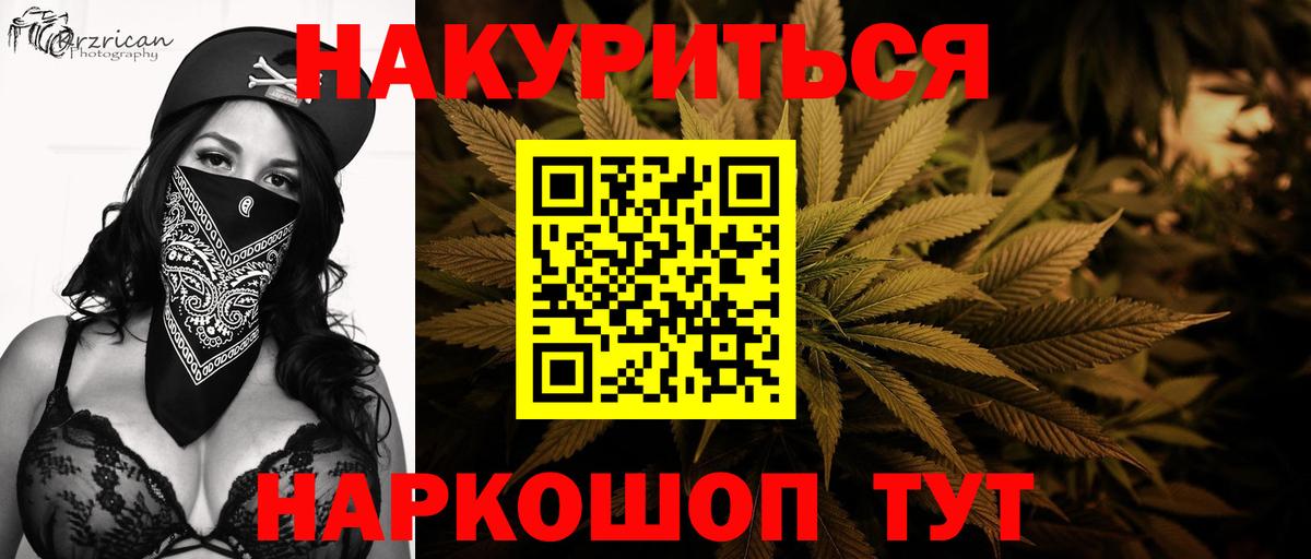 Канабис конопля Изобильный